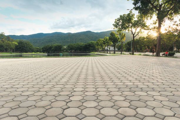 Best Commercial Driveway Pavers  in Alexandria, MN